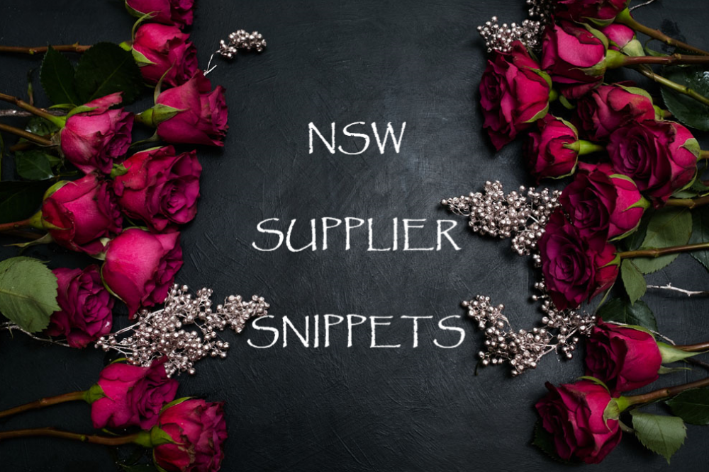 NSW Supplier Snippets