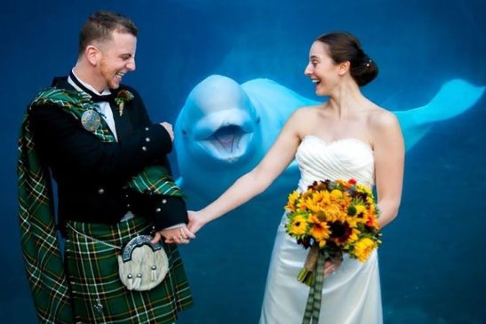 20 Funny Shots – Start Laughing